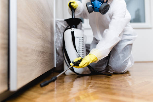 Best Bed Bug Extermination  in Hebron, PA