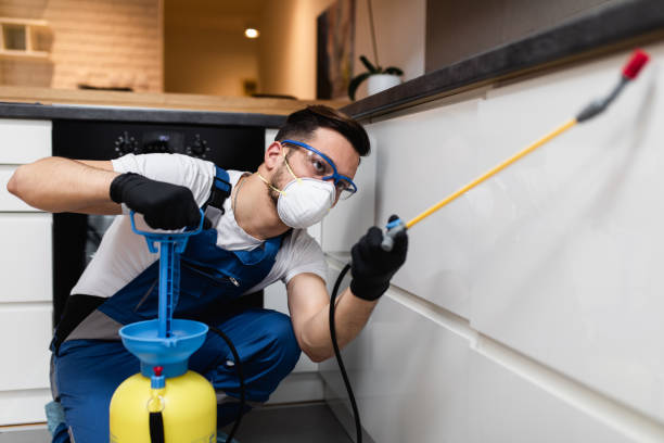Best Affordable Pest Control Services  in Hebron, PA
