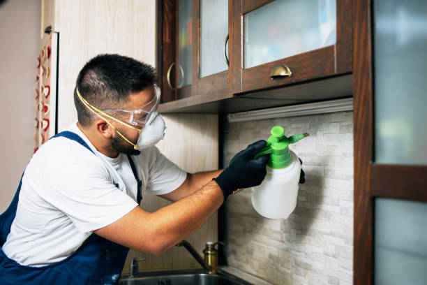 Reliable Hebron, PA Pest Control Solutions