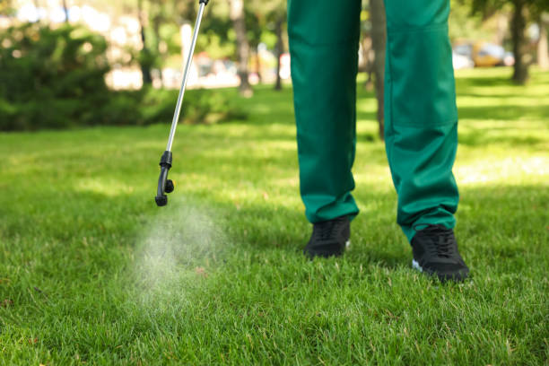 Best Emergency Pest Control  in Hebron, PA