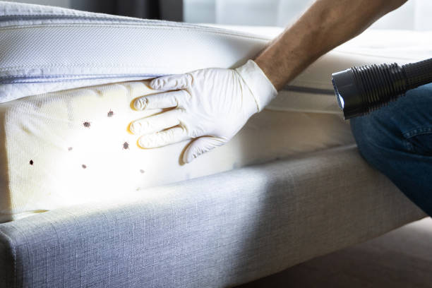 Best Residential Pest Control  in Hebron, PA