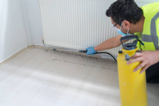 Best Pest Inspection Near Me  in Hebron, PA
