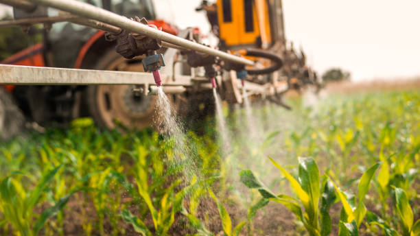 Best Best Pest Control Companies  in Hebron, PA